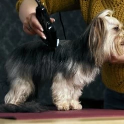 Moser Schermaschine Typ 1400 -Trixie Store 02df9a45ad10057f7cdfbb122412b44ddb24fd91 7c7f90f149fd71377858189c53a8f5cca4170f60