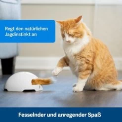 PetSafe Automatisches Katzenspielzeug Fox Den -Trixie Store 038232be25f9015ce160251d628e0af5cabbc69f 1351524 de DE dbeb3a30744bbc866a12a3ecd4f619007abf0a14xn8Dpf