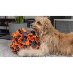 TrendPet Schnüffelball Orange -Trixie Store 0b3adcfec2519e0c6e929e0267a6c980a87babfc 1347789 de DE 4bd3ff6adcaeee7c376418b75c81fae19b8db63bwKh8XT