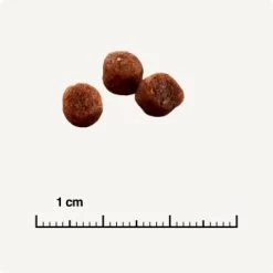 SELECT GOLD Kitten Geflügel Mit Reis 3 Kg -Trixie Store 13e1f3fbf21155db4cc94aee27b5e4aedecc6b46 1243299 de DE 6