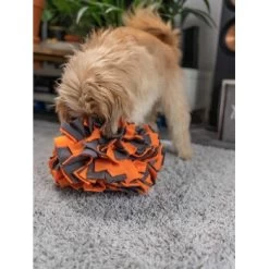 TrendPet Schnüffelball Orange -Trixie Store 150c7485ceb45f446eae94d286af034396b6b839 1347789 de DE 0d959a3cb36067968769c2d102a66fcc1f59a724hVebVb