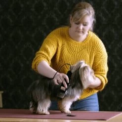 Moser Schermaschine Typ 1400 -Trixie Store 1717408d6bfdccdcad94338991b1af0f2728ddbd 2b3ac3e883a07343d47be355437b77900d400f65