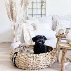 District 70 COCOON Natural M -Trixie Store 1db584284c497361442002ba80ca8dd9597a35b9 1ad367312153dfaf420d5600b6e8e9dac5cec798