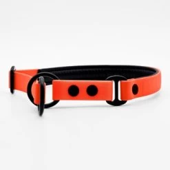 THE DOG IDEA Zugstopp Halsband Orange XS -Trixie Store 1ed8fefef63b371ec4cda43f60e91d6f1ca94f50 1499712 de DE a31f6753e5b48355b1f0f63cd519e5adcd14cfd067hyQ3
