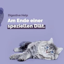 Almo Nature Almo Holistic Digestive Help 30x70g Mit Fisch -Trixie Store 1fcb77f08686903c11a4aeb1c40056adfbf7d2d0 1479697 1 de