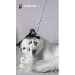 Kater Kasimir Premium Katzenangel Set Aus Buchenholz Mit 4 Handgemachten Anhängern -Trixie Store 21dd16f50076a5d627c45258925f2847665d22a7 1422145 de DE ad7eb1e3270aeafca2a582afabb293db93269a7cF1epRY