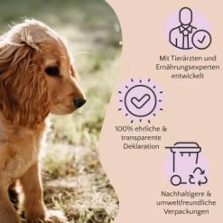 FAVLY Petfood PURE Bites Hirsch 360 G -Trixie Store 236dbc85f5fb75ec5fb4367bde1445e3087ffdcd 1474003 de DE 80624b888460a5c29f043365a19496292e44fd84TlIvR8