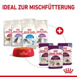 ROYAL CANIN SENSORY Smell In Gelee Für Wählerische Katzen 12x85g -Trixie Store 25c7f2b0017090b05172a164b94d24299f626039 5b9b3776479c43ed4449b8634046c65b7d96c1fe