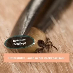 BeG Buddy Fellspray Zecke -Trixie Store 297119792bee87c54c4080010b8d6149223d300c 1457254 de DE b0426d8711049b0aafb9b17aaa93a89672536d279Kmo8x