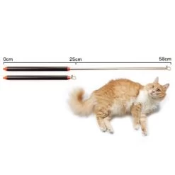 Schlitzohr Stabile Katzenangel Arnold -Trixie Store 2b03aaa8061d454c3b132f3d29075b579f022315 1484671 de DE 4db6a969e0582cf4b987acff93cb66c6c6149da6OAB1hx