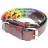 Kipita Polo Halsband Rainbow S -Trixie Store 2dd5615a545dad05c67d0f97fb4757df4f480fbf 1410918 de DE 3ed35cfcc2064e2d6c53a3ed0ac1251222386fb0saNIJl
