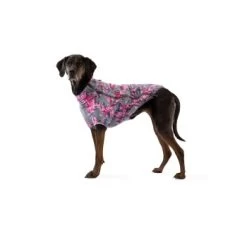 Ruffwear Climate Changer™ Fleece-Jacke Für Hunde Lila/ Grau XS -Trixie Store 31d08c48d82e56fa988a8efaad00ce115bf58a1e 1369648 de DE 0f7eaefedef9dc647cc2252d60c10845d7c68c4e58IpMU
