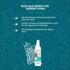 MediDog Dental Fresh & Clean -Trixie Store 343cceef613c074ed5b447a70d31269a870cf15d 1499660 de DE f2641cc7f5b00beb77fbbf61330ce24716292663yYZq7c
