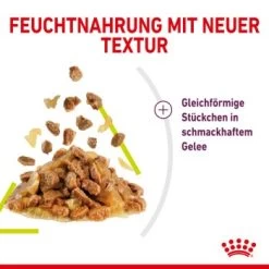 ROYAL CANIN SENSORY Smell In Gelee Für Wählerische Katzen 12x85g -Trixie Store 3469e2789c9f64bff26f87bbac39ba0a4ed440ea 45f33cf5dbb691236fc67f7b11a07842abb35bb4