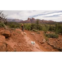 Ruffwear Swamp Cooler Zip™ Kühlweste Für Hunde Pink XL -Trixie Store 3f53abbb449b533ae19bdcc983422a810c1a6523 1639652 de DE 69e04235fc73e7ad617b0a7c576e77147e0d0f9aiqnSME