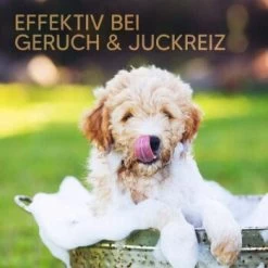 Pawlie's Welpenshampoo -Trixie Store 42f9c58257fb2002e5c33c2d81bd829c9adeb1cc 1626204 de DE 8b17d3990cf88ea437c76c60b6848183bc9636a5a44ihJ