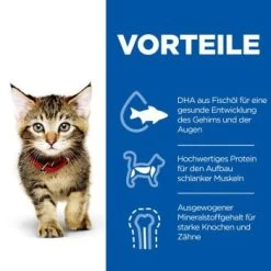 Hill's Science Plan Kitten Multipack Mit Huhn Und Seefisch 12x85 G -Trixie Store 463b640dbed78dd738a2b07fd8aec2aae4b06733 52742211503 5