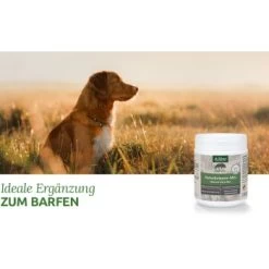 Aniforte BARF-Line Naturkräuter Mix 250g -Trixie Store 464ddda8fc38a6e027c6cafe7fde53f2ad109df8 1477973 de DE 4e7a685a7dd87aa68a02cfea6763367892d36c13HaZ7EK
