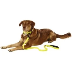 Dogs Creek Leuchtleine Polar Light -Trixie Store 48ec78e33596b92140d6b3398e8f71750d03c13c b92f1359dc8ad4069aab6c61ba7cbbf439b4b6f2