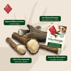 ChronoBalance Geweih Halbiert (M) 2er Paket -Trixie Store 49b2abc7cad0ffeac02d060cf9f29719b7c1554c 1418686 de DE 902a389be4b99eb60431c66affbaefe4377d76894qYs7t