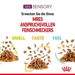 ROYAL CANIN SENSORY Smell In Gelee Für Wählerische Katzen 12x85g -Trixie Store 4a632532d23d065e189b82401db5c561b6749e74 bbe7e159ee2cfcc0155771b211da953377ec5c40