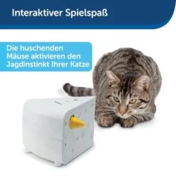 PetSafe Automatisches Katzenspielzeug Cheese 14 PetSafe Automatisches Katzenspielzeug Cheese -Trixie Store 4bf213762b84458348ad4dde222bccd0d8e6f0a8 1418723 de DE 66b781419c3a9a05dbaecf1b142c67f8ea6f21fbRLCfdd