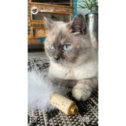 Kater Kasimir Deluxe Set Mit 9 Beliebten Katzenspielzeugen Aus Naturmaterial Und Handgemachtem CATDAD Armband -Trixie Store 4d777484de5457a02028f595b53fdb1b69e309d7 1408151 de DE 911e17a5e45692f3789ac8bc9aee946048898d74SkrQo3