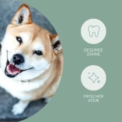 Mammaly Fresh Smile 110g -Trixie Store 4dfc3b5d73dfa91add91c3411ca4723de71754ed 1472885 3