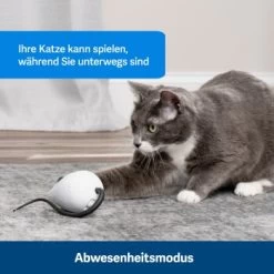 PetSafe Automatisches Katzenspielzeug RoloRat -Trixie Store 4e48313abe110e77b48862456b3054c8cbc622dd 1351522 de DE cc35ab35cec54291341f643ff079f60e72f56895BvuHXl