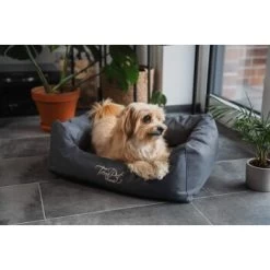 TrendPet Viscado Orthopädisches Hundebett Grau S -Trixie Store 53767eb5fa18c09af83c41a099a76459282b8d5d 1223491 de DE 389224d5322521064b4406daae05b01140401710O1LkLo