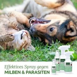 Aniforte Milben-STOP Spray Für Hunde Und Katzen 100 G -Trixie Store 65c573e701babc35d0222949c6f8e5e51e98ed10 1656142 de DE a537cb98349378307bdd6f629cf67a682ee52db6lSupmg
