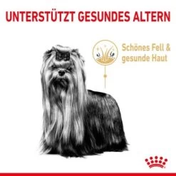 ROYAL CANIN Yorkshire Terrier 8+ Für ältere Hunde 1,5 Kg -Trixie Store 6820f5d1668861335aff838ca8d75b9ceca269c3 0b00c689a5c0f3d962d4b7472621f235a6da7ba2