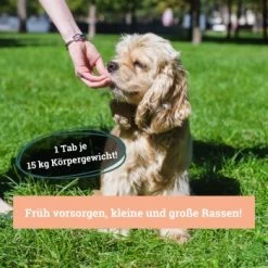 BeG Buddy Gelenk Fit Tabletten -Trixie Store 7145b4de4f0d4d7a9f850bf303583471cdf805b6 1457251 de DE 0089fafd00f1b2f9bd751cd5c3120554a5401a94njJXnn