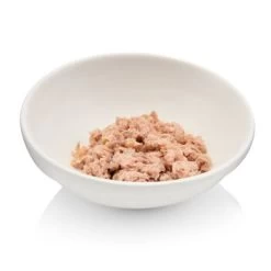 Canadian Cat Company Futterbar Cat Diner 15 Canadian Cat Company Futterbar Cat Diner -Trixie Store 7374ea0a9e3fe9347681d73e38cfddf88778c4d9 1345694 de DE 736a30d8934edf90c8b01e1b34a29dff5e81dab2o6VK2t