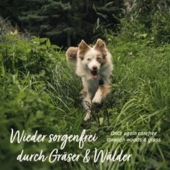 Aniforte Z-Season Snack 350g -Trixie Store 73a9c702b62350d9977522526f40b2f15ac1a87b 1495364 de DE a9f698c76a12bd39e549344514374e4b07a0f5b8wxpq6a