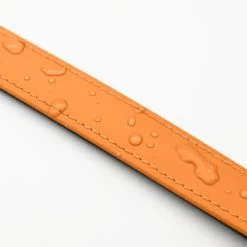 THE DOG IDEA Biothane Halsband Peach Pink M -Trixie Store 79a2111ad40e5fad15daace172221374f98e6cc4 1679187 de DE 51bb020948375b628b5548a37c78dbf992c16262Tnehdd