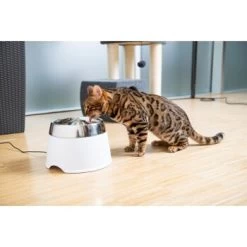 AniOne Edelstahl-Trinkbrunnen Trevi Ohne Ersatzfilter -Trixie Store 7a066af048695bbfaeca0a855e5984fc3bf99d03 689fcf415d486ac05c07f2a4868b1d087d7a9ece