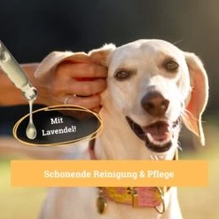 BeG Buddy Ohrreiniger Für Hunde, Juckreiz, Verschmutzung & Ohrmilben, Ohrenpflege Hund -Trixie Store 7b60a3022ebb426552422fbdc4dd8d77c64be8cf 1500787 de DE b51c870aaae4933941aa890d02263a49251d01d5OgvvjE