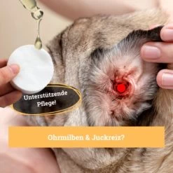 BeG Buddy Ohrreiniger Für Hunde, Juckreiz, Verschmutzung & Ohrmilben, Ohrenpflege Hund -Trixie Store 7e57ffedd36efe83c62c35bf2950e792a38dc962 1500787 de DE 4ccff8ce096d74f709ff92188adeaa6426f950e3pEPR1R