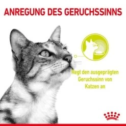 ROYAL CANIN SENSORY Smell In Gelee Für Wählerische Katzen 12x85g -Trixie Store 8189732b9ae1a398fb4fb109d95a4bf54f9ea43e e98d42f060ba951a9dc658034746788da77dfcfd