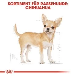 ROYAL CANIN Chihuahua Adult 1,5 Kg -Trixie Store 81d6fd45320cf11ea9703ea9f9a6acc4d62bad27 d0f147b32f1c97a319b7656c093d0d52fe8b2b33