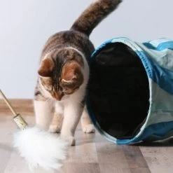 Kater Kasimir Premium Paket Mit 7 Beliebten Katzenspielzeugen Aus Naturmaterial -Trixie Store 84f221d79ef76f1b4f2f0037d329c11c6fce3a33 1408152 de DE 294269527f07b1898ca7562c986e956043828d3cA8xBpO