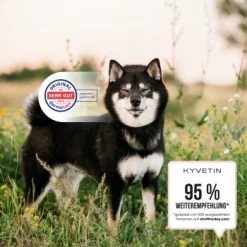 KYVETIN Spray Skin Repair Für Hunde Und Katzen -Trixie Store 855eb3c7fca7c841451cde094ef9ccbea4bfbca8 1364195 de DE KyvetinSpray 5