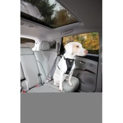 Kurgo Sicherheitsgeschirr XS -Trixie Store 87813e7da78344d76194991149b2935972cb3fc9 9b7a4549d6992d8434083c74ff0b43057fd79273