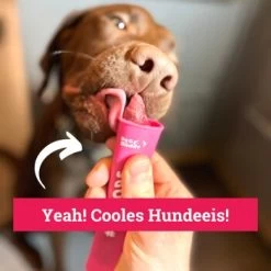 BeG Buddy Hundeeis Am Stiel 6x -Trixie Store 884a17847bca189578f5dfa99786c32475050ea9 1385433 de DE 6fb4ce5b250b3db4c03de2bbdabb6019c3bab68abqvK5S