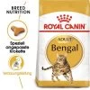 ROYAL CANIN Bengal Adult 10 Kg -Trixie Store 8895d514c5571f42c349ba918c5eea4785f6f61e b4c416e4b3881984a7318b11b9076ca0921396cb