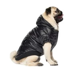 Canada Pooch Glänzende Pufferweste XXS -Trixie Store 8ec11177ec9f86d200ff22bc3e0c234ecff91e7e dfb5b396c833a1ace7625fc5796632bee13eda68