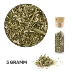 Canadian Cat Company Baldrian & Catnipspielzeug Probierset Spielkissen, 6er Pack -Trixie Store 9084cda1a3230ea12cfd3db3496e655edf4c93f7 1494153 de DE d37f6841f37369a22fb7b8e5b9b58b803ee3af0dbORigI