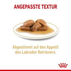 ROYAL CANIN Labrador Retriever Adul Stückchen In Soße 10x140g -Trixie Store 908d2bfcf8b7046cd23a14cb7b707cf7b2315fea b65885ba483fc622da80d0c8a5f75f1f8003e0ca