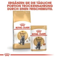 ROYAL CANIN British Shorthair 12x85g -Trixie Store 979463e526b8aec711ad3c08fb414444e9d36d40 4c88cd0b2bc9c30f47889b3683ee9f7b75c80663